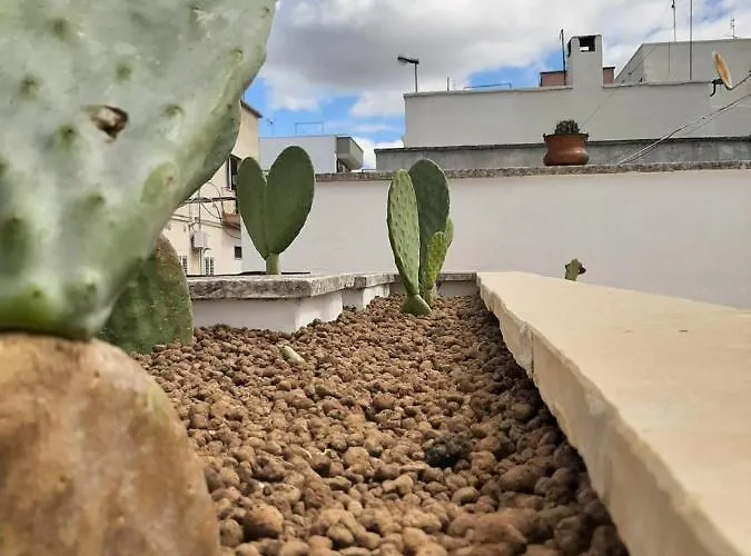 Casa de Férias Bianco Antico Salento *