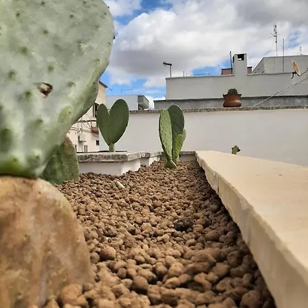 Hébergement de vacances Bianco Antico Salento *