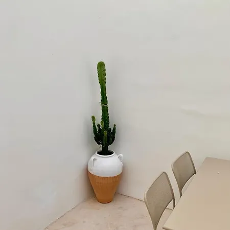 Bianco Antico Salento Matino